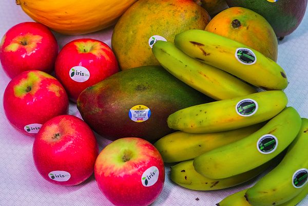 Frutas, Legumes e Verduras